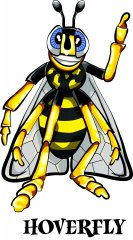 hover fly.jpg